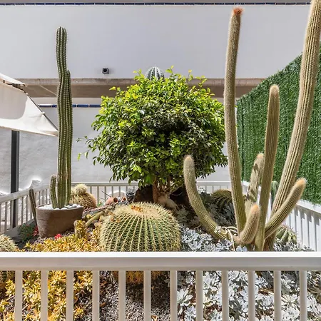 Carmina House アパート