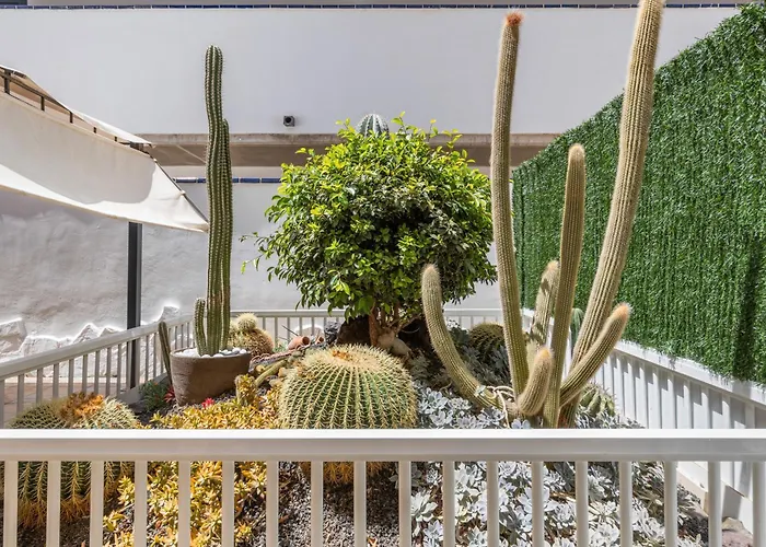 Carmina House Appartement